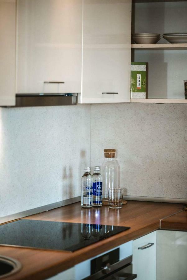 New Apartament Very Close To The City Centre Вилнюс Екстериор снимка